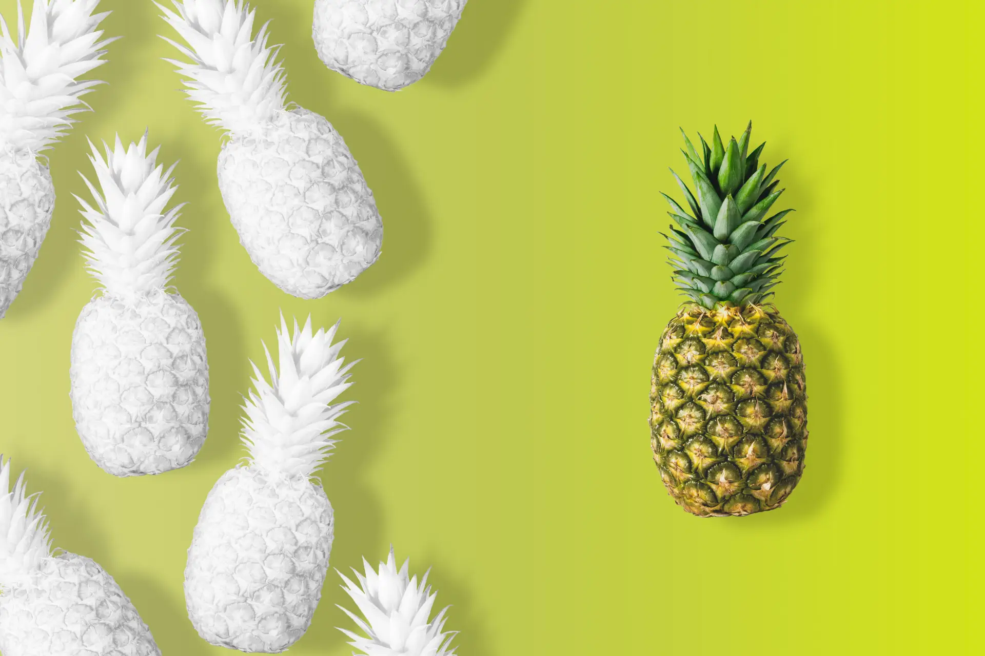 Hospitality Pineapple. White Pineapple. The Enlightened Creative.